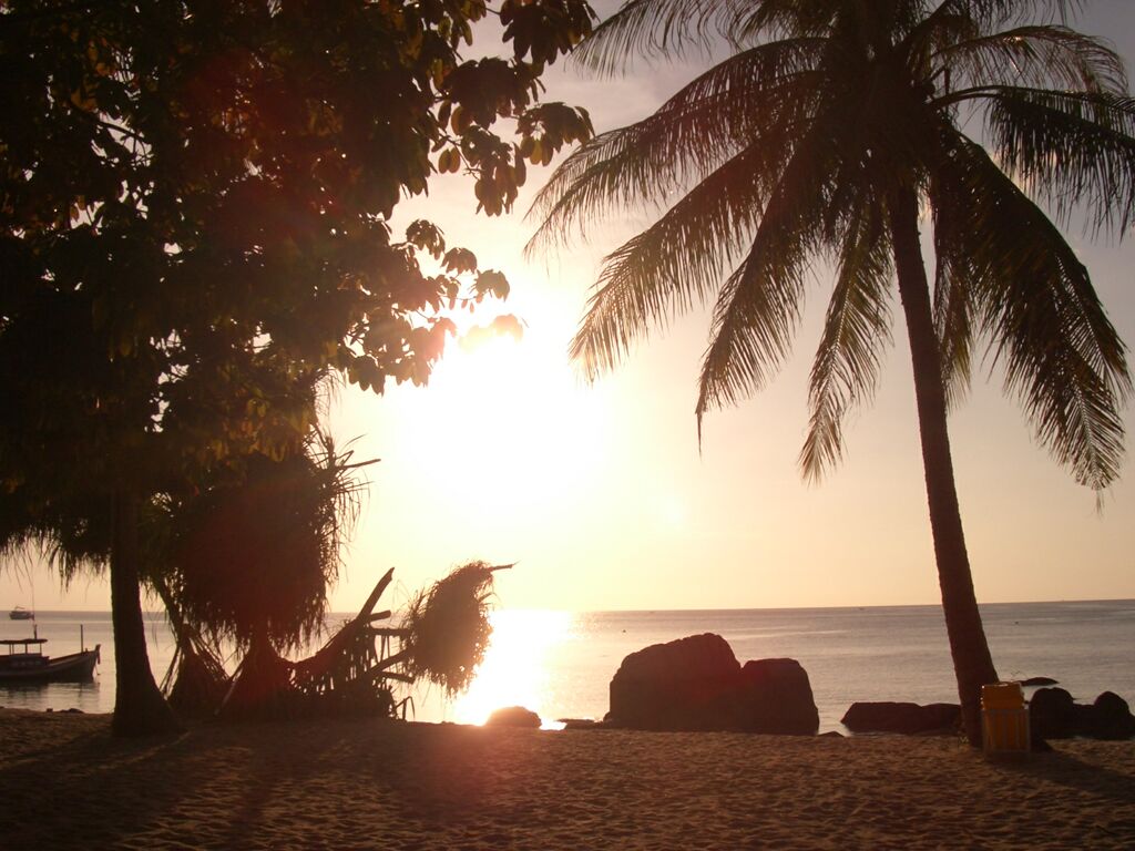 Click to See Next Image